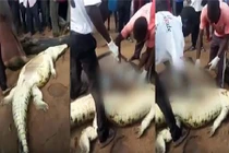 Rợn người mổ bụng cá sấu, phát hiện thi thể bé 8 tuổi