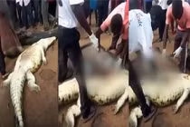 Rợn người mổ bụng cá sấu, phát hiện thi thể bé 8 tuổi