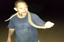 Chơi dại định nướng rắn độc trên bếp và kết rùng mình