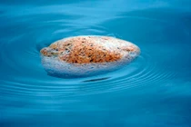 Hòn đá nổi "lềnh bềnh" trên mặt nước không chìm gây tò mò