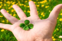 Trắc nghiệm: Vận mệnh của bạn sung sướng hay khổ cực?