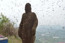 Cho 450.000 con ong đốt, gột sạch ai nấy đều choáng khi nhìn thấy...