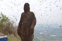 Cho 450.000 con ong đốt, gột sạch ai nấy đều choáng khi nhìn thấy...