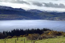 Bí ẩn quái vật Hồ Loch Ness chính thức có lời giải