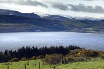 Bí ẩn quái vật Hồ Loch Ness chính thức có lời giải