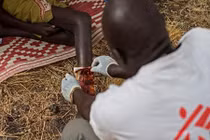 Động vật đáng sợ giết 250 người trong 3 tuần 