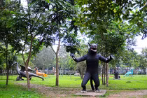 Thám hiểm khu vườn toàn "quái thú" độc dị nhất Việt Nam