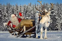 Giải mã chuyện chỉ tuần lộc cái kéo xe cho ông già Noel