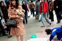 Bắt người ăn xin kêu chó bằng cha, "quý bà" nhận kết không ngờ