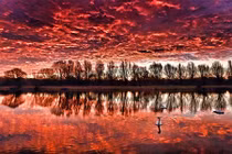 Ngây ngất chùm ảnh động vật ấn tượng nhất 2017