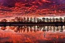 Ngây ngất chùm ảnh động vật ấn tượng nhất 2017