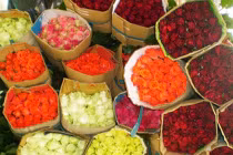 Thương lái TQ vào Đà Lạt thu gom hoa cho dịp Valentine