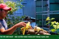 Bỏ việc văn phòng, nuôi thú cưng độc lạ thu trăm triệu mỗi năm