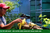 Bỏ việc văn phòng, nuôi thú cưng độc lạ thu trăm triệu mỗi năm