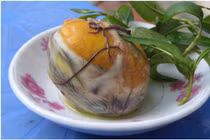 F0 ở nhà ăn 1 quả trứng vịt lộn vào thời điểm 'bổ tựa nhân sâm'