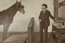  Sự thật về Hans- Chú ngựa thiên tài biết đọc và đếm