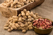 Đậu phộng có thể ngăn ngừa khối u