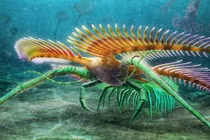 Quái vật xuyên không 450 triệu năm bằng cách vô lý nhất thế giới