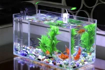 Đặt 6 vật này trong phòng ngủ là đại kỵ