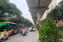 Hà Nội: Đường Xuân Thủy cây mọc um tùm, che tầm nhìn người tham gia giao thông