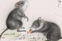 2 tuổi vướng Tam Tai nghèo rớt mùng tơi năm 2023