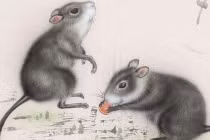 2 tuổi vướng Tam Tai nghèo rớt mùng tơi năm 2023