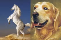 3 con giáp dễ đổi đời chỉ sau một đêm