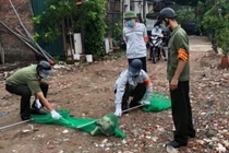 Hà Nội lập gần 600 đội bắt chó thả rông