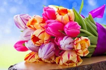 Bé gái có giờ sinh này ví như viên ngọc quý của gia đình