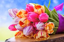 Bé gái có giờ sinh này ví như viên ngọc quý của gia đình