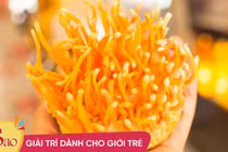 F0 đua nhau bồi bổ đông trùng hạ thảo, 4 đối tượng phải tránh xa!