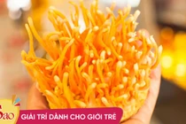 F0 đua nhau bồi bổ đông trùng hạ thảo, 4 đối tượng phải tránh xa!