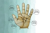 4 đường chỉ tay dự báo chủ nhân đặc biệt: May mắn lắm mới có!