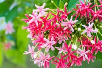 10 ngày cuối tháng 5, 3 con giáp đón lộc vào nhà, tài khoản tăng ầm ầm