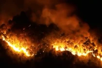 Cháy rừng lịch sử tại Hà Tĩnh: Những hình "nhói lòng"