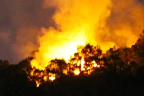 Cháy rừng ở Đà Nẵng giữa đêm, cả trăm người dập lửa