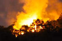 Cháy rừng ở Đà Nẵng giữa đêm, cả trăm người dập lửa