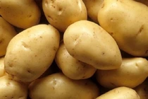 5 loại thực phẩm chớ dại cho vào tủ lạnh kẻo rước bệnh