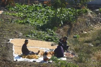 Loạt ảnh hiếm về nông thôn Triều Tiên gây ngỡ ngàng