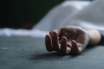 Người phụ nữ tự tử sau khi mèo cưng qua đời gây bàng hoàng