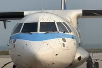 Máy bay không thể cất cánh vì...đàn ong "bao vây"