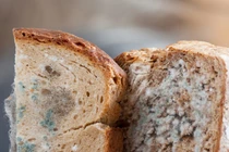 Dọn tủ đón Tết: Thực phẩm có dấu hiệu này cần bỏ ngay