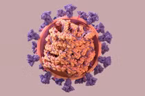 Triệu chứng ở người nhiễm biến chủng BA.5