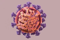 Triệu chứng ở người nhiễm biến chủng BA.5