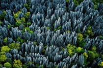 Kỳ lạ khu rừng đá dựng đứng, sắc như lưỡi dao