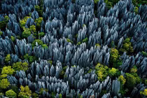 Kỳ lạ khu rừng đá dựng đứng, sắc như lưỡi dao