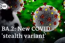 Hiệu quả của vắc xin COVID-19 trước biến chủng Omicron "tàng hình"