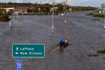 Mỹ: Cụ ông bị cá sấu tấn công giữa vùng lụt sau bão Ida