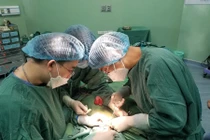 Bé trai 3 tuổi nuốt 25 viên bi nam châm vào bụng