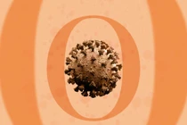 WHO: Nên tiêm mũi vắc xin tăng cường khi Omicron lan rộng